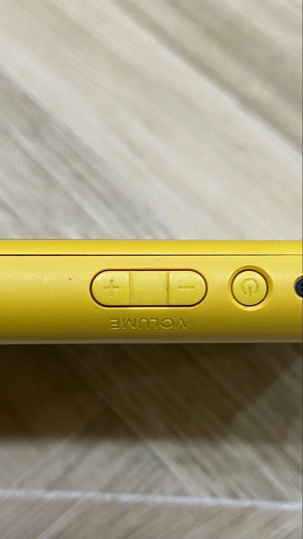 ジャンク Switch Lite SDカード認識せず 箱アダプター付 初期化済