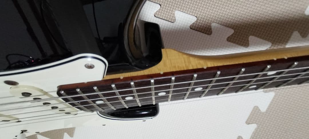 ギター Fujigen Neo Classic Series NCST-20R