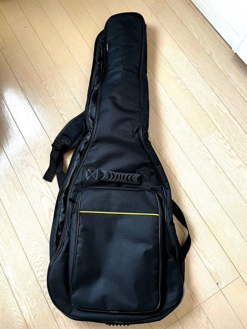 【カバー付き】Aria ProⅡ アリアプロ