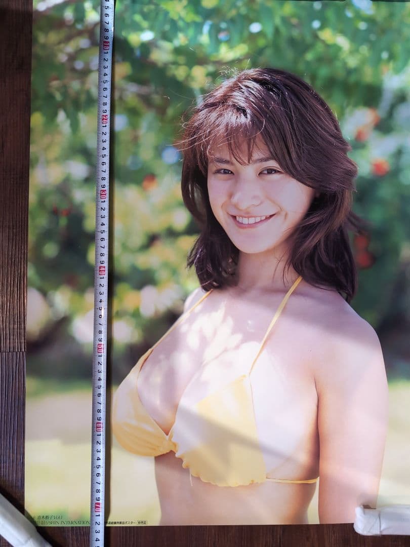 ・青木裕子 ポスター10枚セット ◆ 非売品 ◆