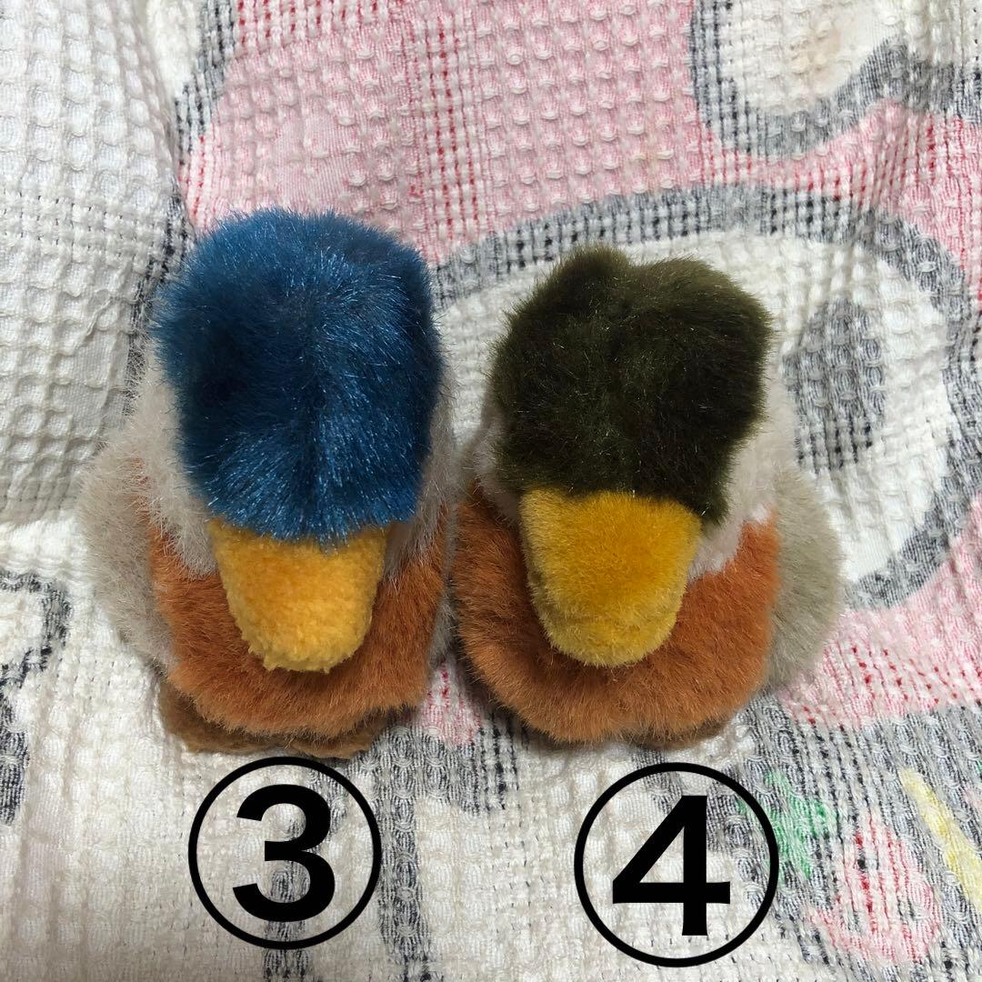 セキグチ　sekiguchi 鳥鳥まつり　フクロウ他ぬいぐるみセット　中古品