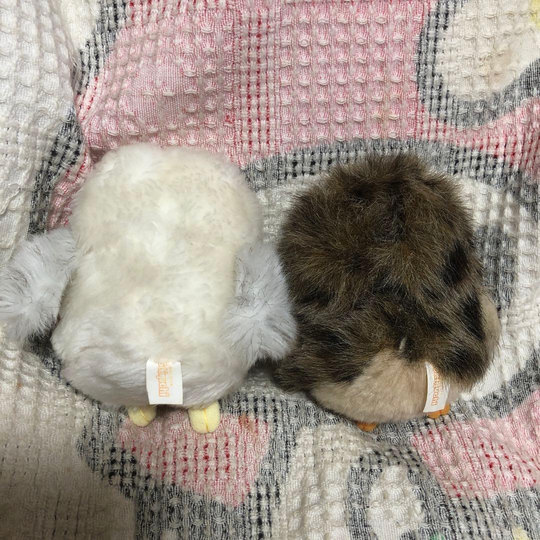 セキグチ　sekiguchi 鳥鳥まつり　フクロウ他ぬいぐるみセット　中古品