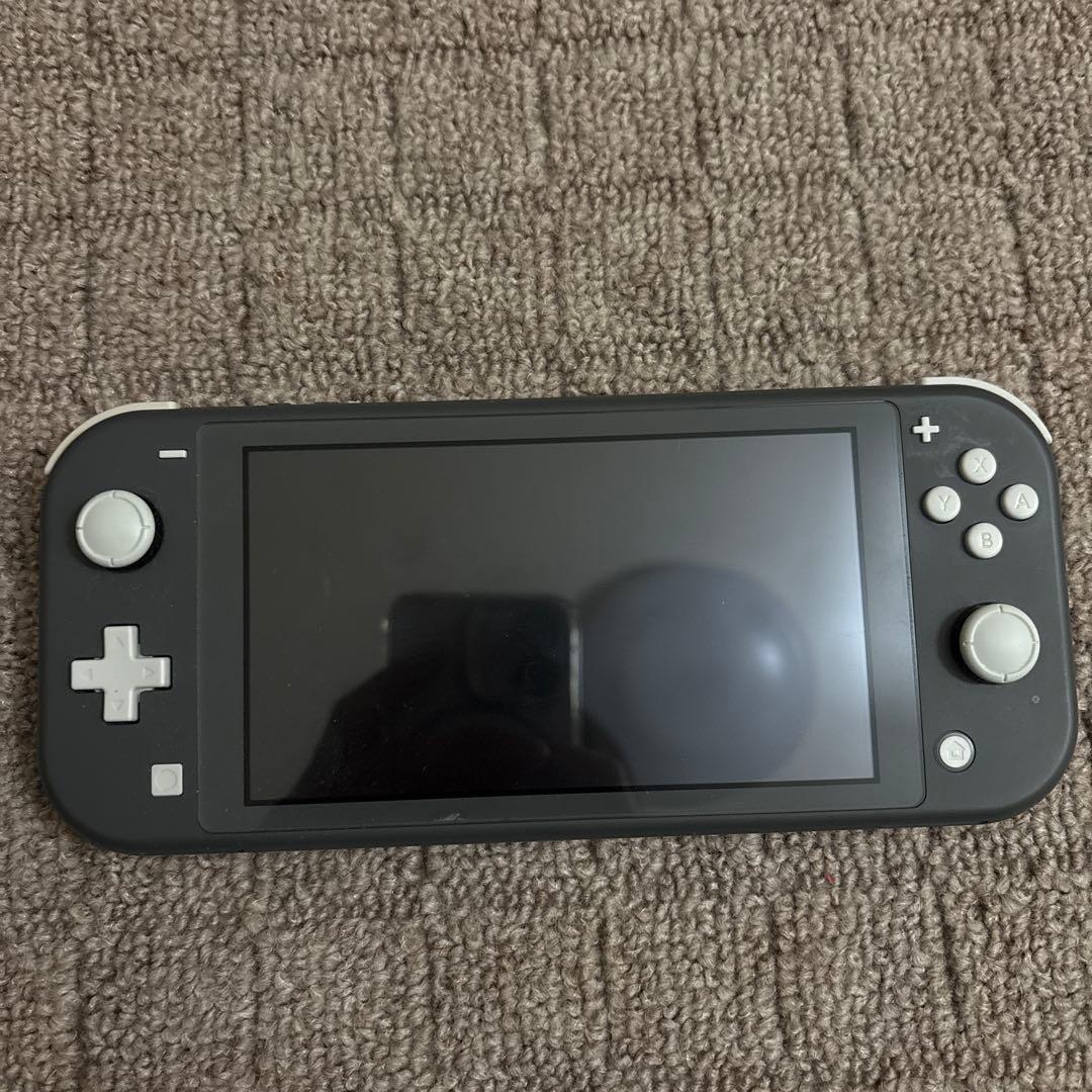 Nintendo Switch Lite 本体 ケース・ライトスタンド付き