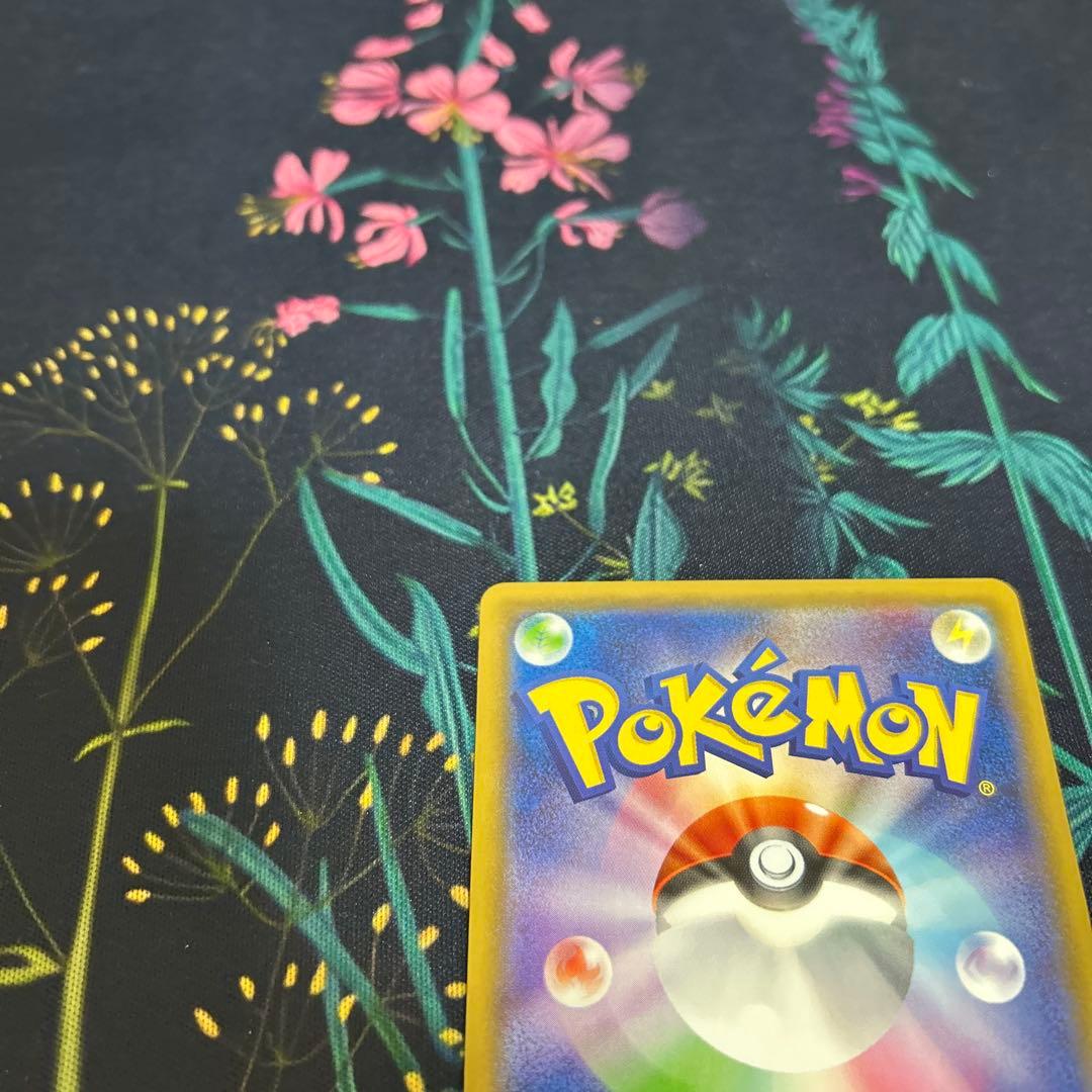 ピカチュウ(ソードシールドプロモ)封筒付き