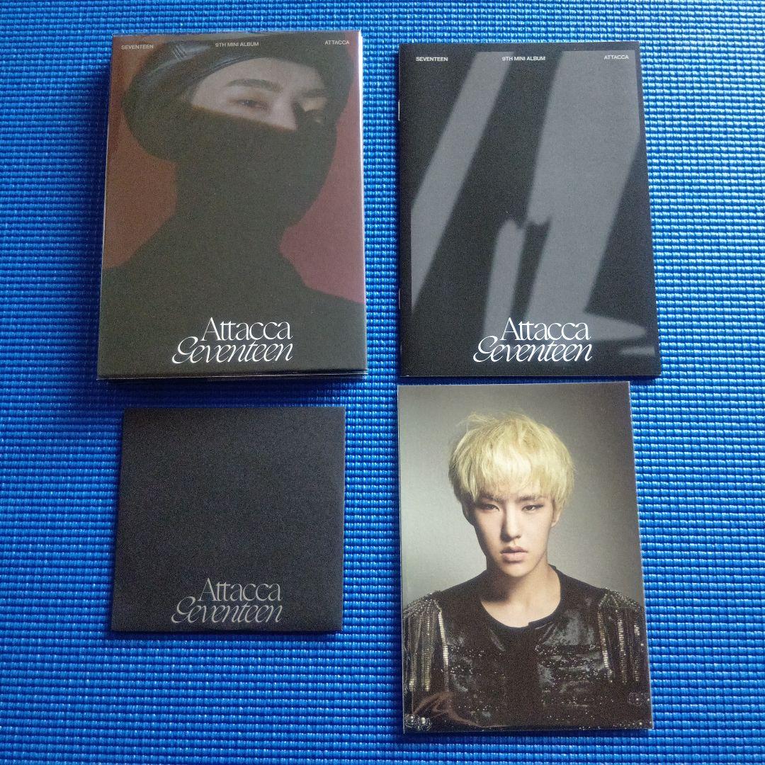 SEVENTEEN HOSHI 公式グッズ&マスター ぬいぐるみ 30ｃｍ