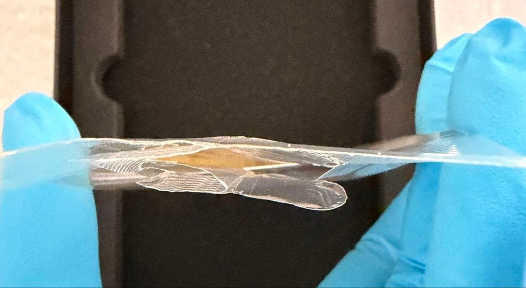 ボスごっこピカチュウロケット団