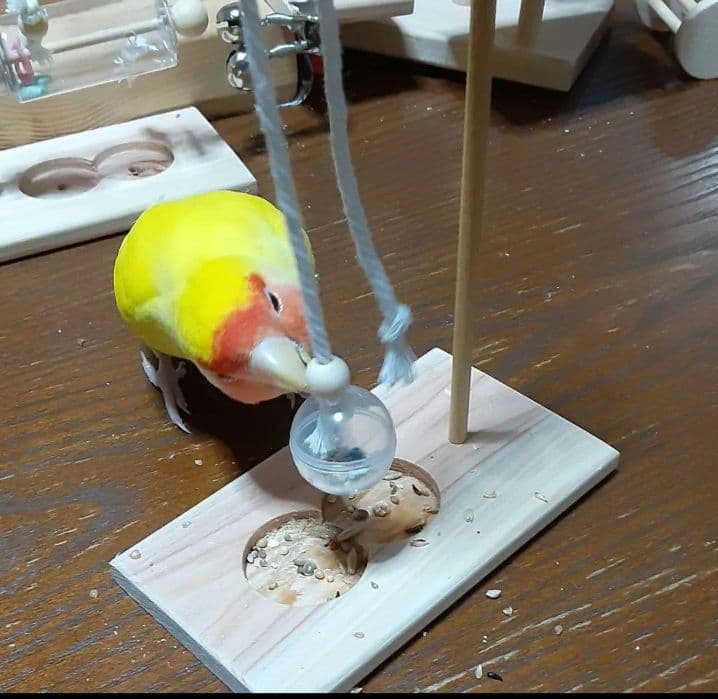 g157　止まり木　Tパーチ　スタンド　バードトイ　フォージングトイ色々セット