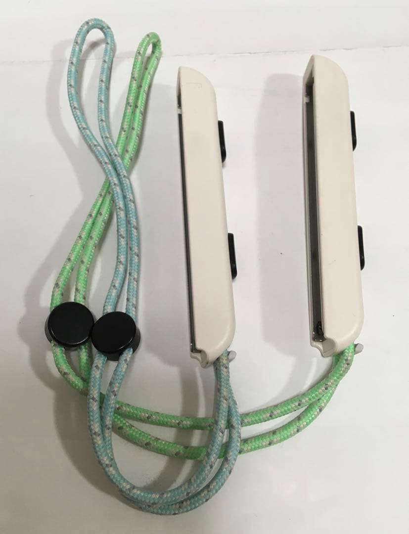 Nintendo Switch 本体 あつまれ どうぶつの森 ver.