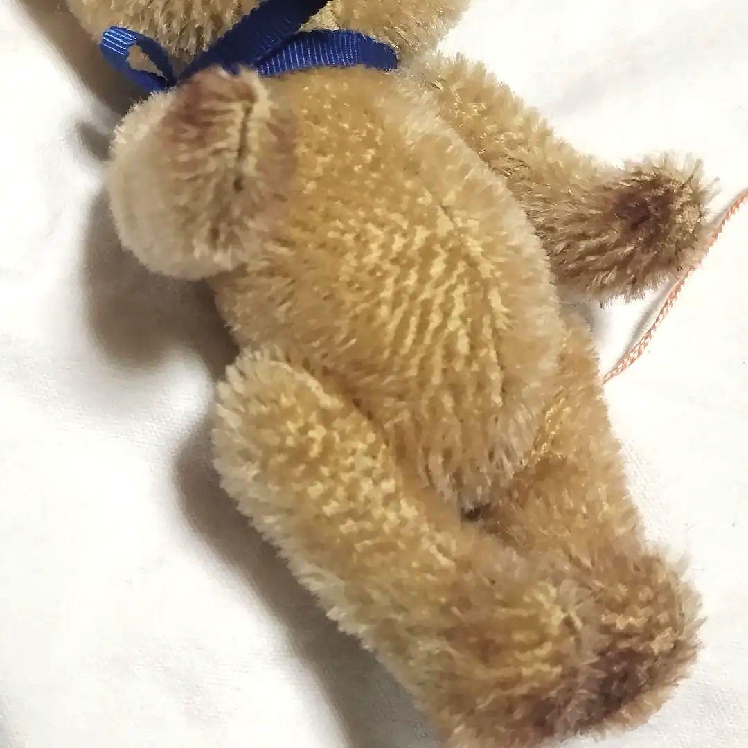 加藤日砂　テディベア