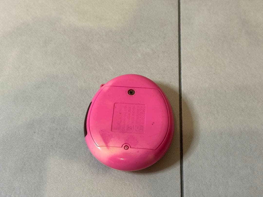 たまごっちスクール せーとぜーいんしゅーごっち！2じかんめ スクールふらわー