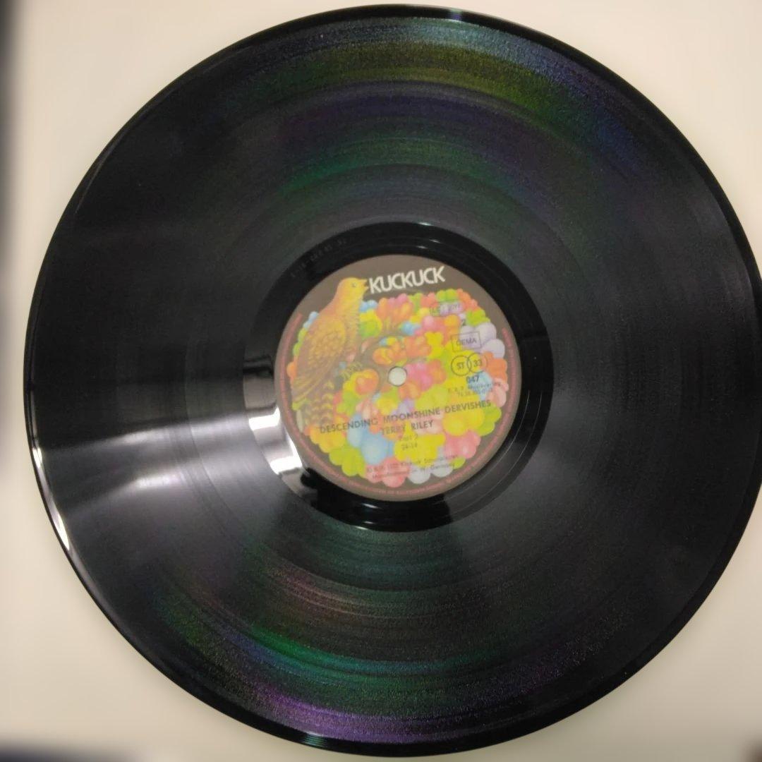 ['82年EU盤LP] テリーライリーDescending Moonshine…
