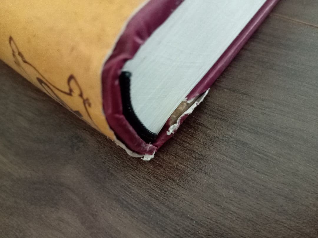 建築 India and the Indianized