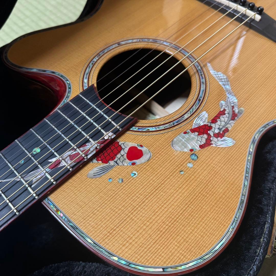Ayers アコースティックギター CustomShop 限定版 ココボロ 錦鯉