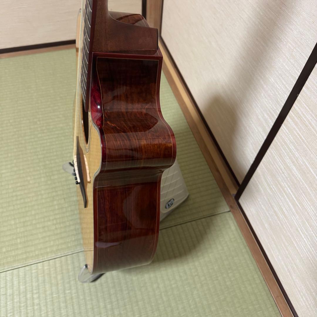 Ayers アコースティックギター CustomShop 限定版 ココボロ 錦鯉