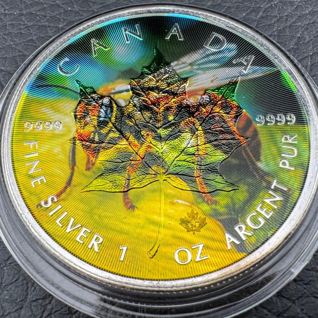 世界100枚限定！ メイプルリーフ 銀貨 カラー スズメバチ 森の自然融和