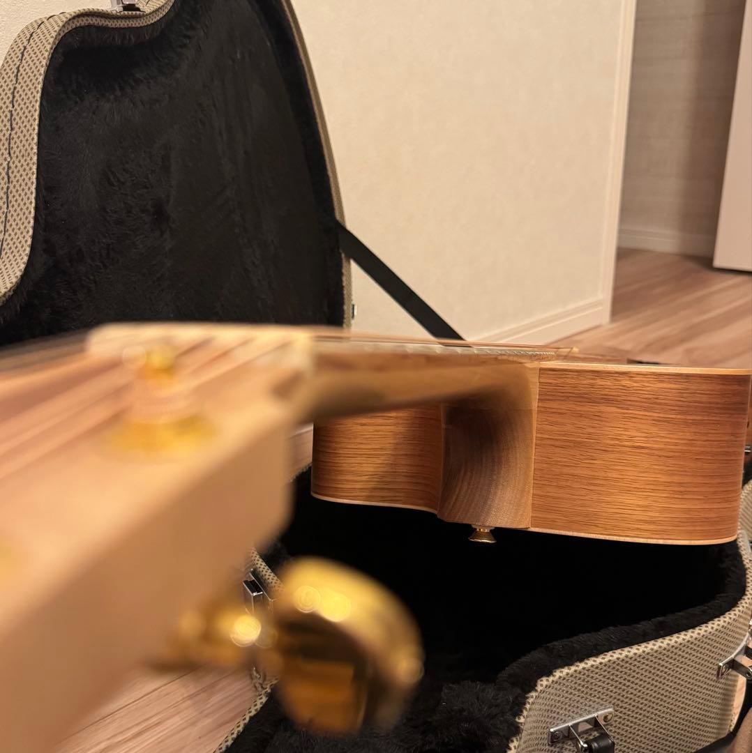 【Cole Clark】アコースティックギター FL2EC-BB