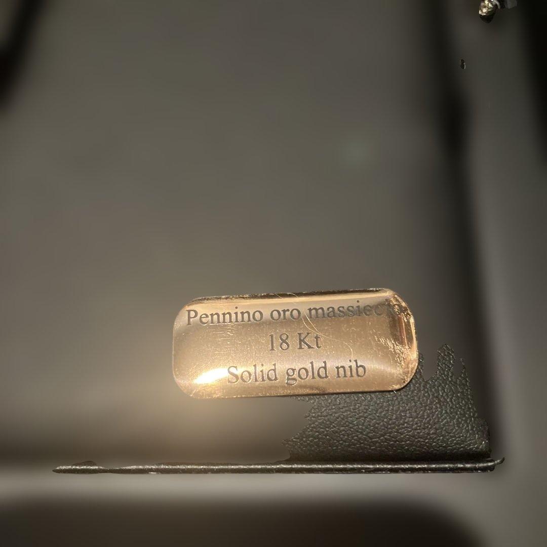 Aurora アウロラ Venere 万年筆 B