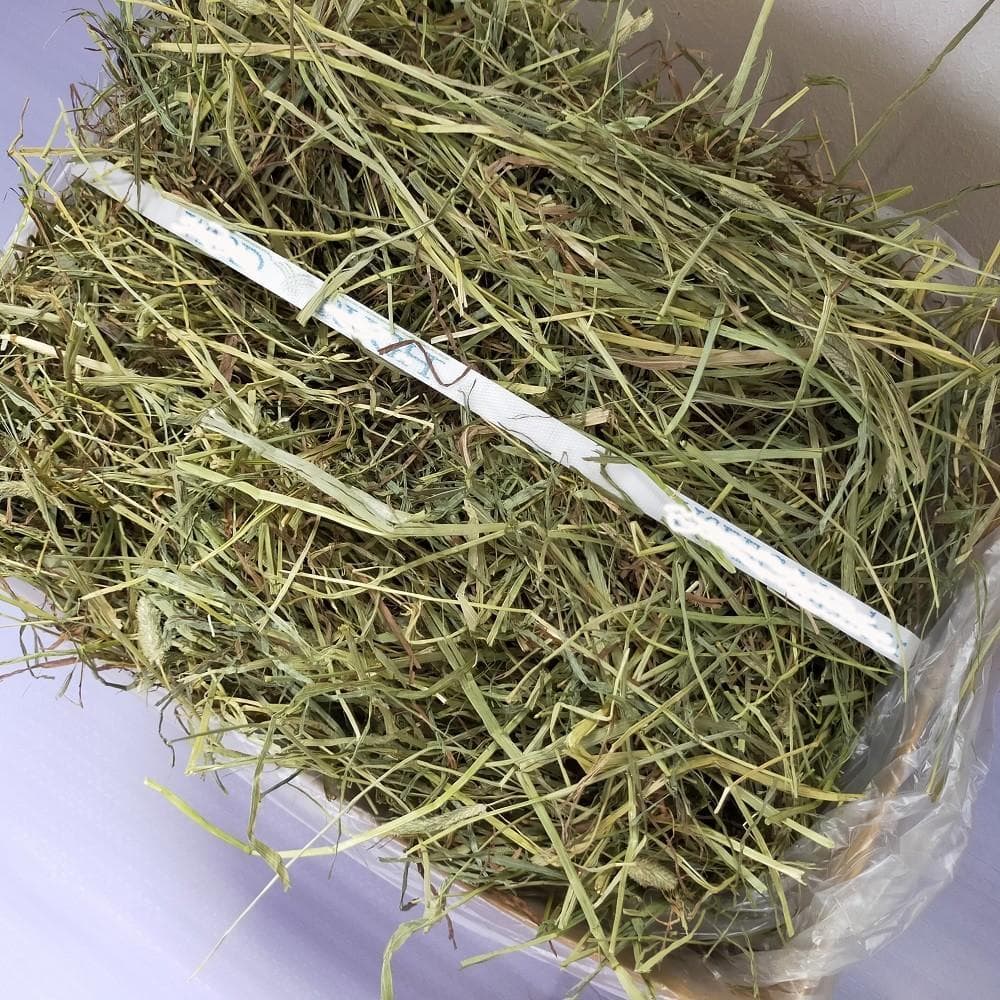 【12/30まで】US産 チモシー 100kg ２番刈り ソフトSプレミアム