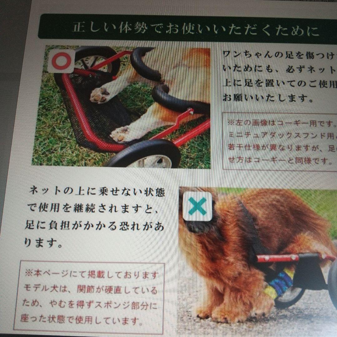 犬用車いす 赤 ミニチュアダックスフンド専用