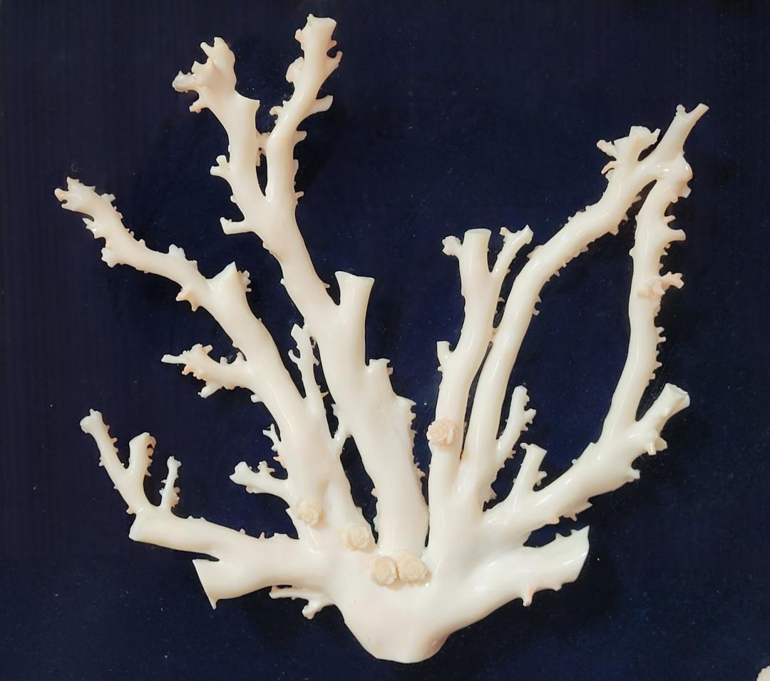 天然希少材料 彫刻 額装 壁飾 置物 横幅約55.8cm