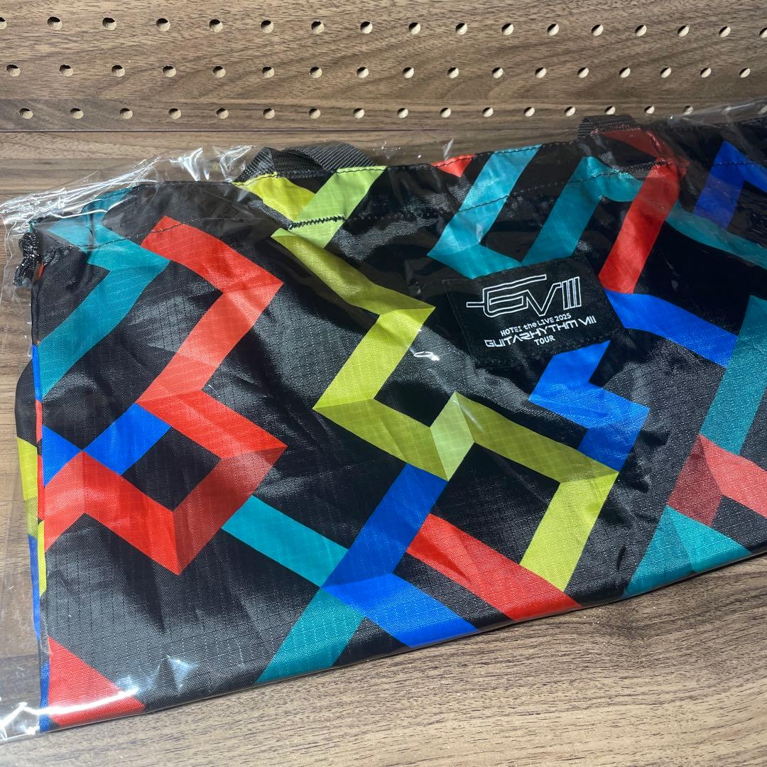 【未開封】布袋寅泰 武道館 G VIIIドローストリング パッカブルトートバッグ