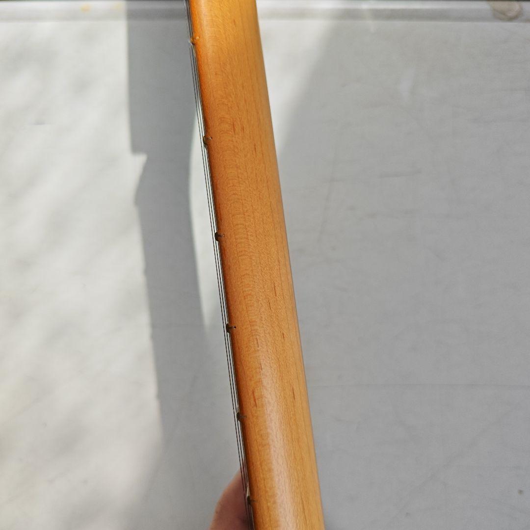 ギター Fender Player Plus Stratocaster