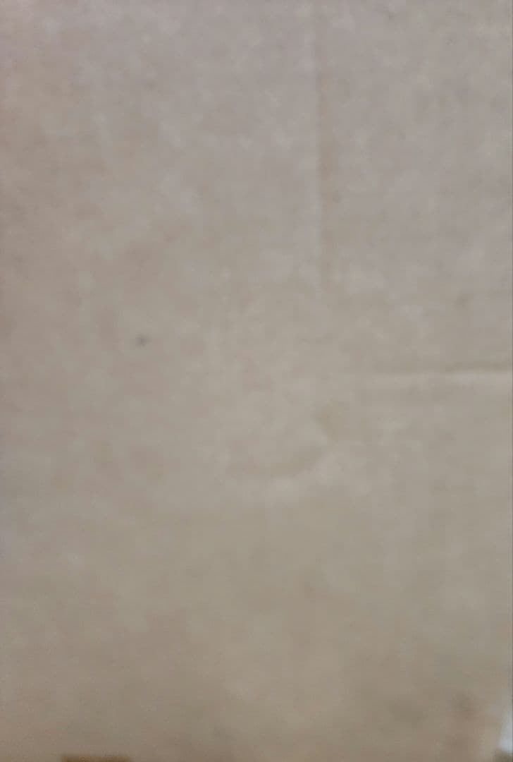 魔法先生ネギま 近衛木乃香 等身大パネル 未開封