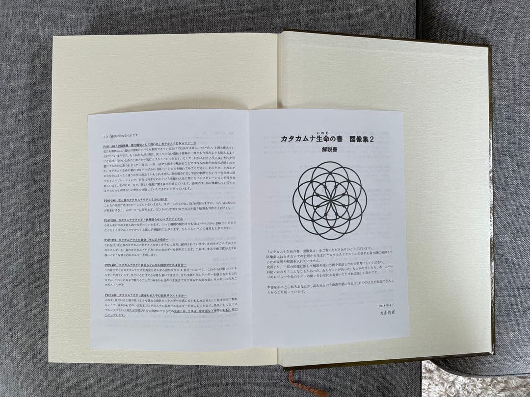 奇跡が起こる　カタカムナ　生命の書　図像集2 丸山修寛