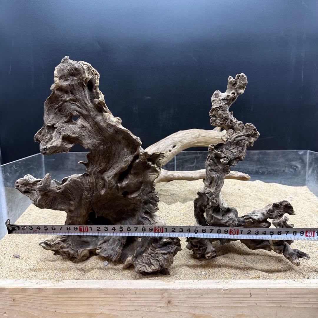 MJW-7215 「特大」ジンジャーウッド2本セット　天然流木 アクアリウム