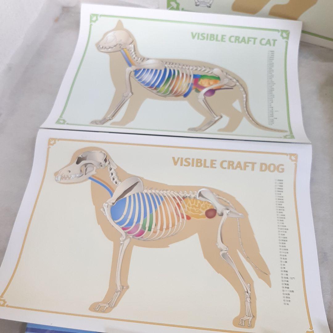 キャットケアスペシャリスト 看護・介護士プラス講座 教材セット一式