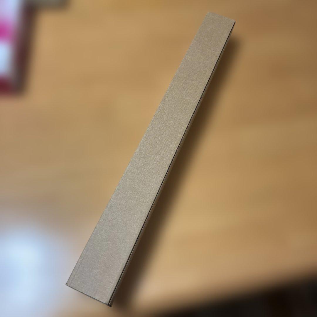 角田裕毅 VISA CASH APP RB F1 チーム ポスター