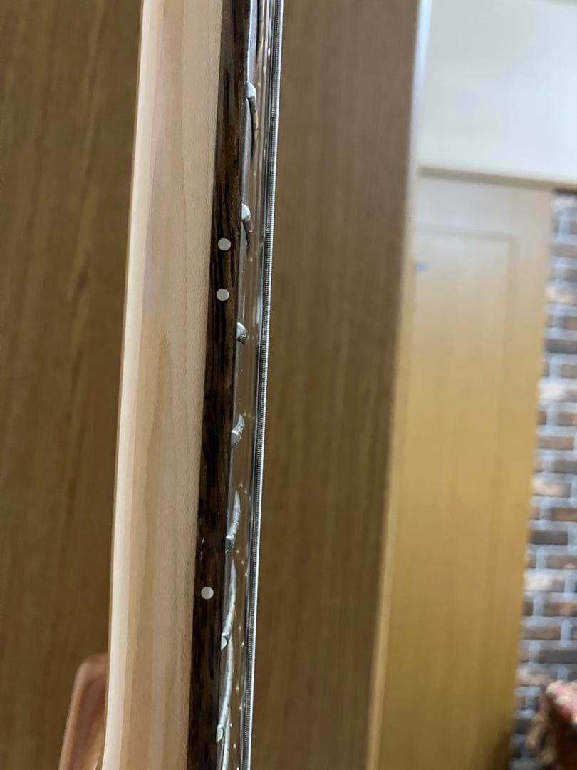 ギター PRS SE CUSTOM24 Trampas Green