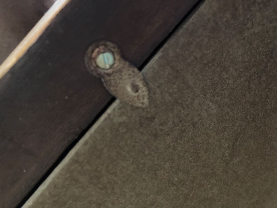 絵画　レンブラント　「ダナエ」