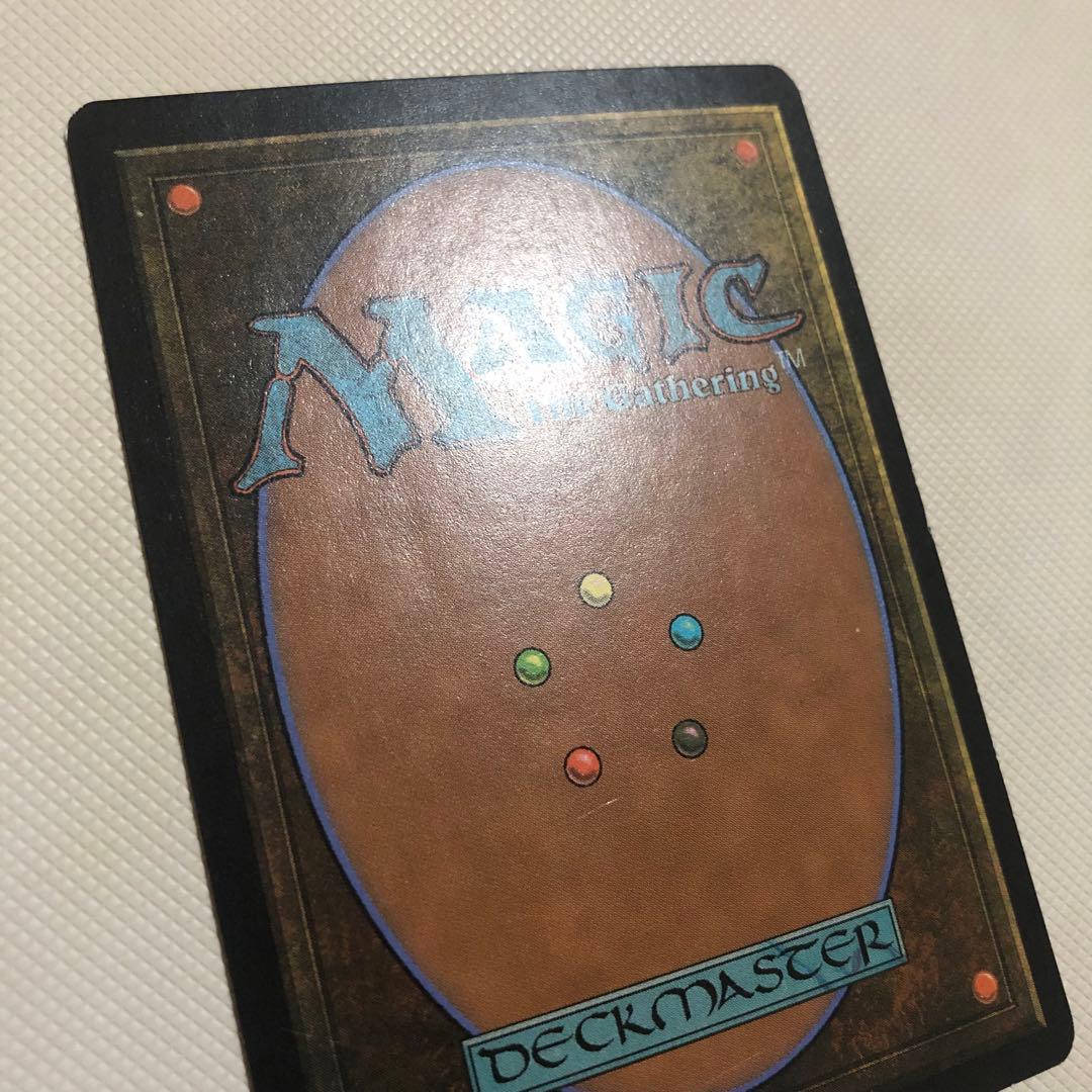 ザンティッドの大群 foil mtg 英語 継ぎ目無し 緑 ザンディッドの大群