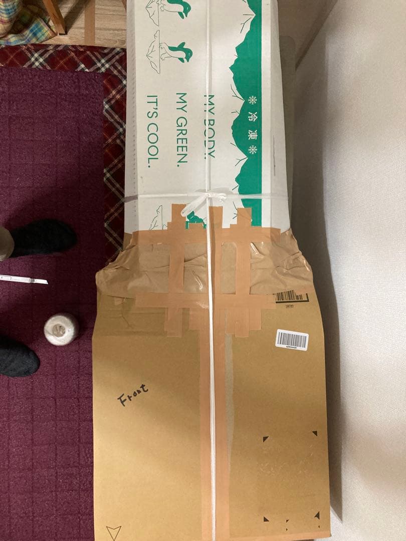 Bacchus BTE-2 rtm OPWテレキャスタータイプ