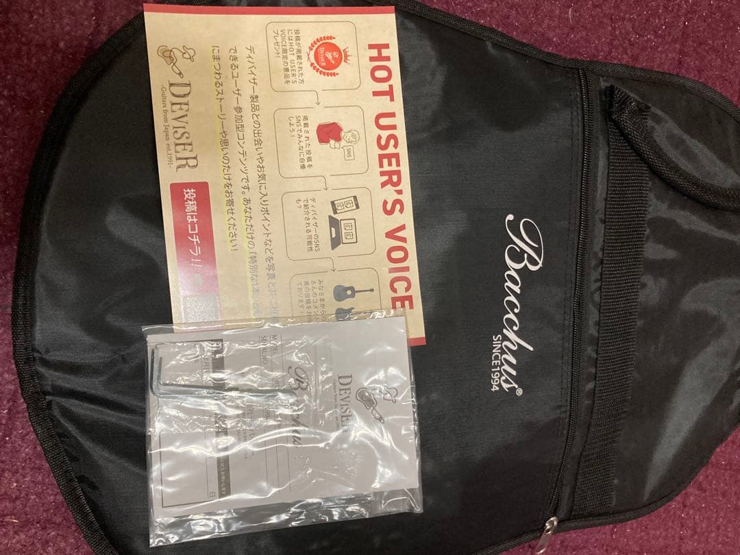 Bacchus BTE-2 rtm OPWテレキャスタータイプ