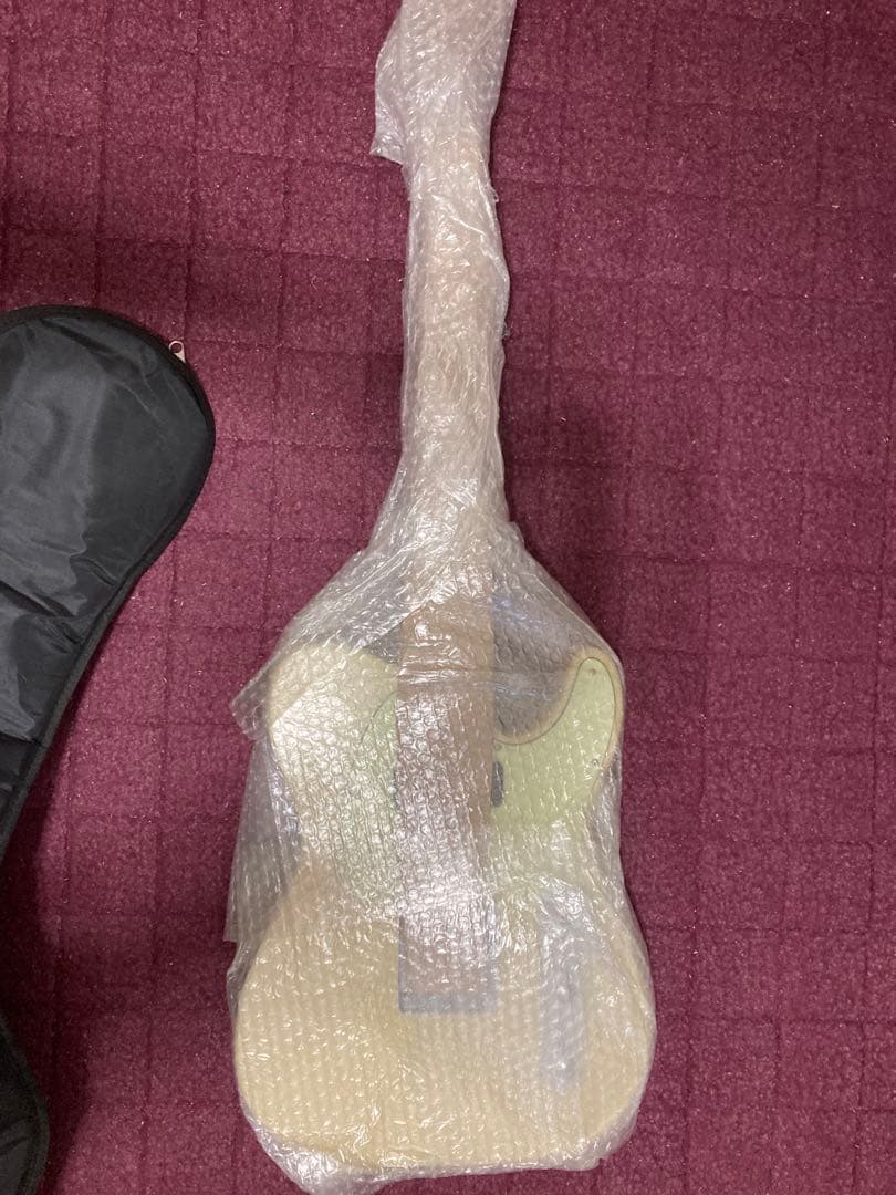 Bacchus BTE-2 rtm OPWテレキャスタータイプ