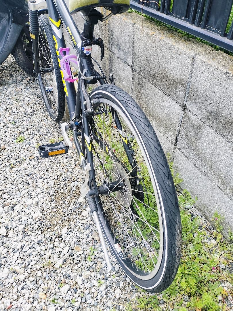 Treed Giant Rock5000 直接引取歓迎近県配送可