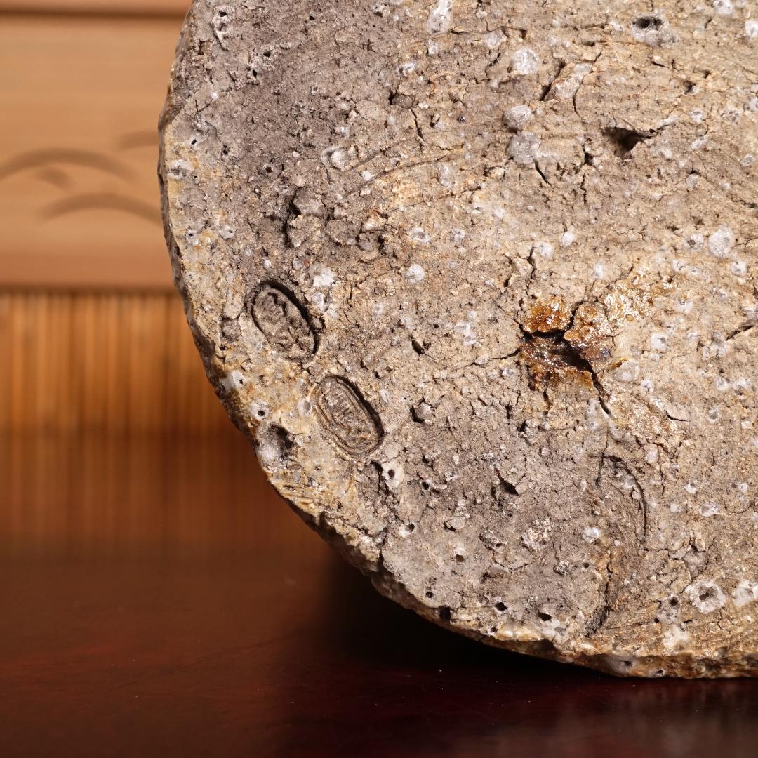 雲林院 寶山 昌平寶山（宝山）古伊賀写花生 以古伊賀土造 共箱