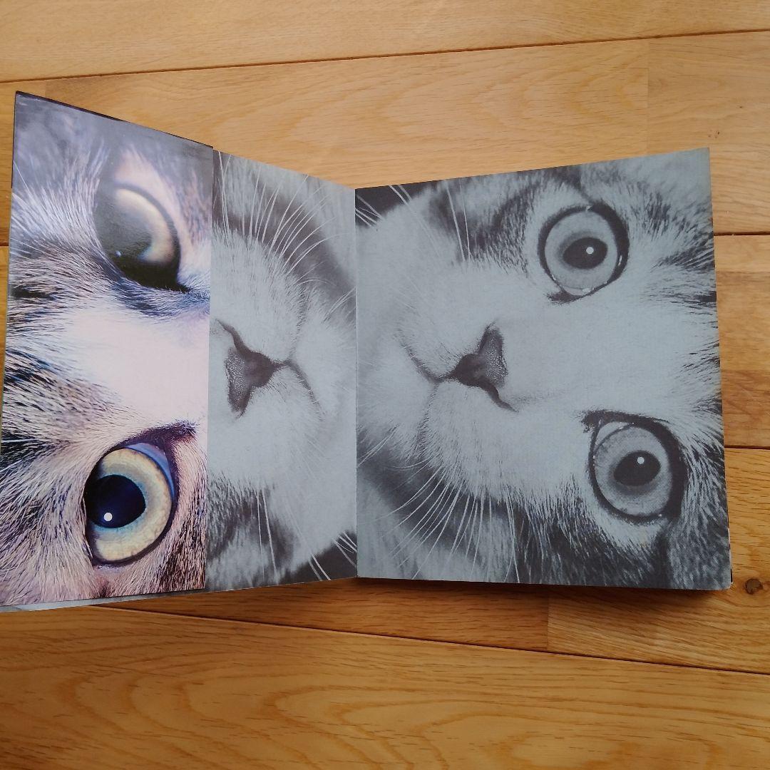 深瀬昌久　サスケ!いとしき猫よ