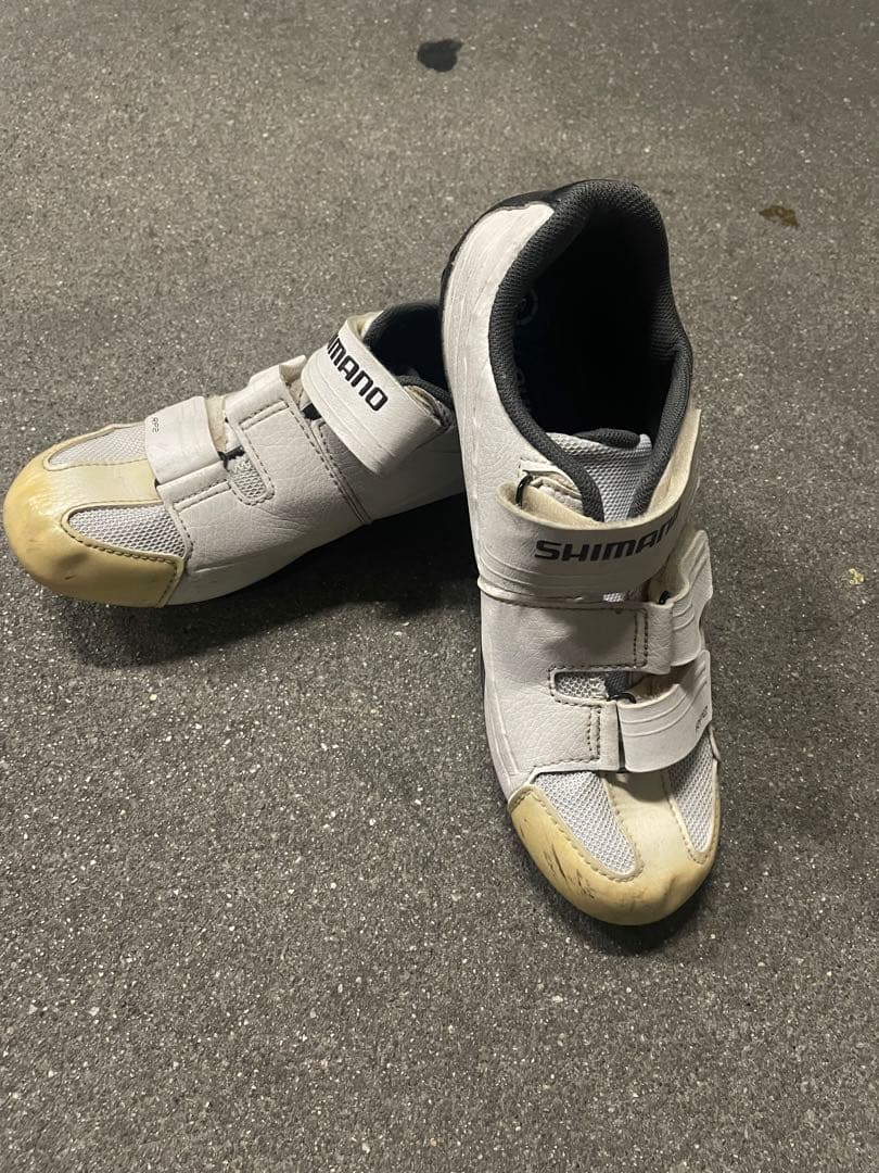 自転車本体 TREK DOMANE AL3 size50