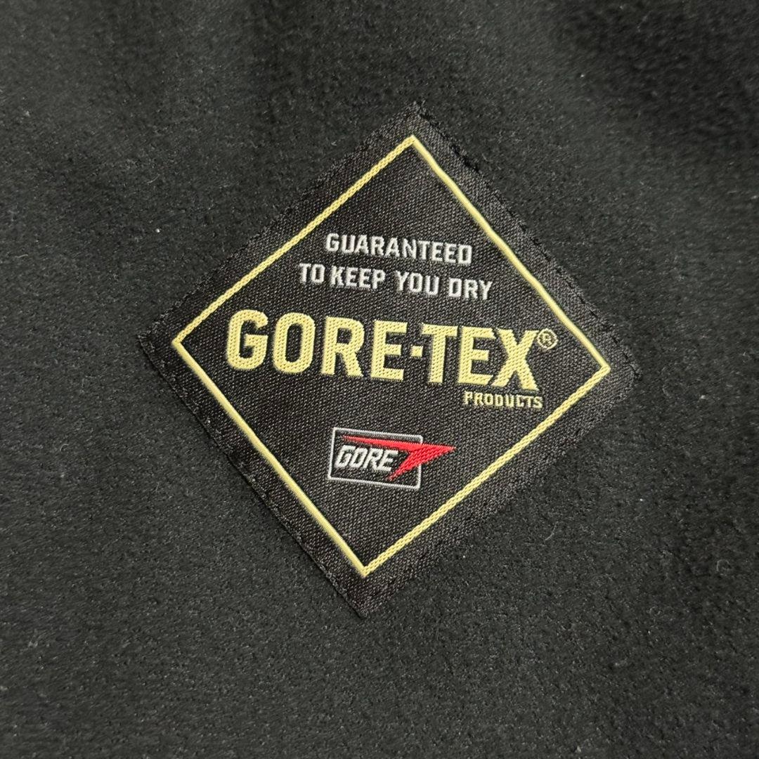 美品 GOLDWIN スキーウェア ゴアテックス 青 収納多数