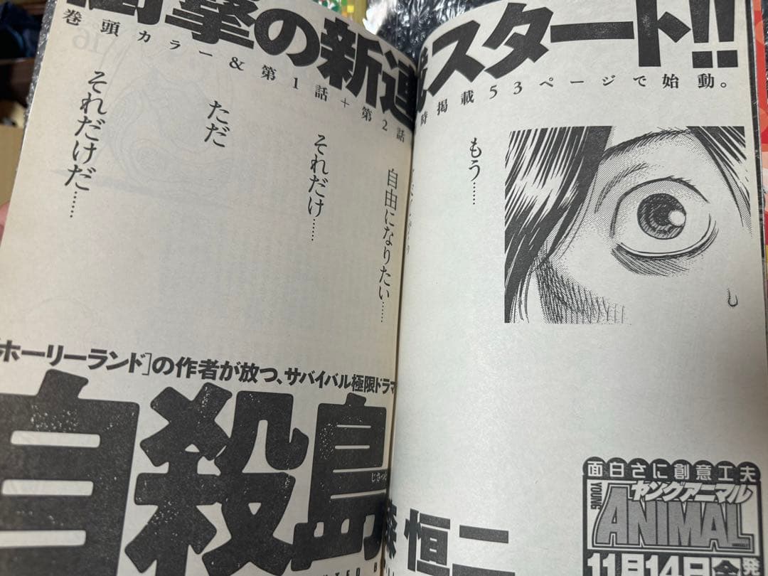 レア ヤングアニマル 2008年 21号 特別カバー付き ベルセルク 三浦建太郎