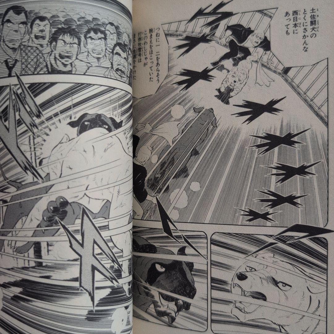 白い戦士ヤマト