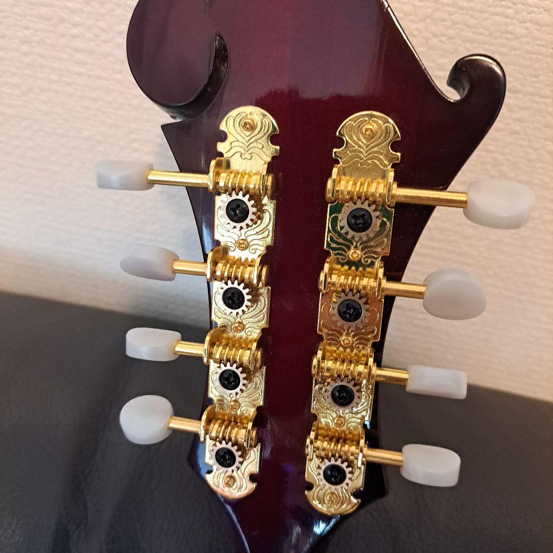 超希少！アイバニーズ 524ヴィンテージ、フラットマンドリン！