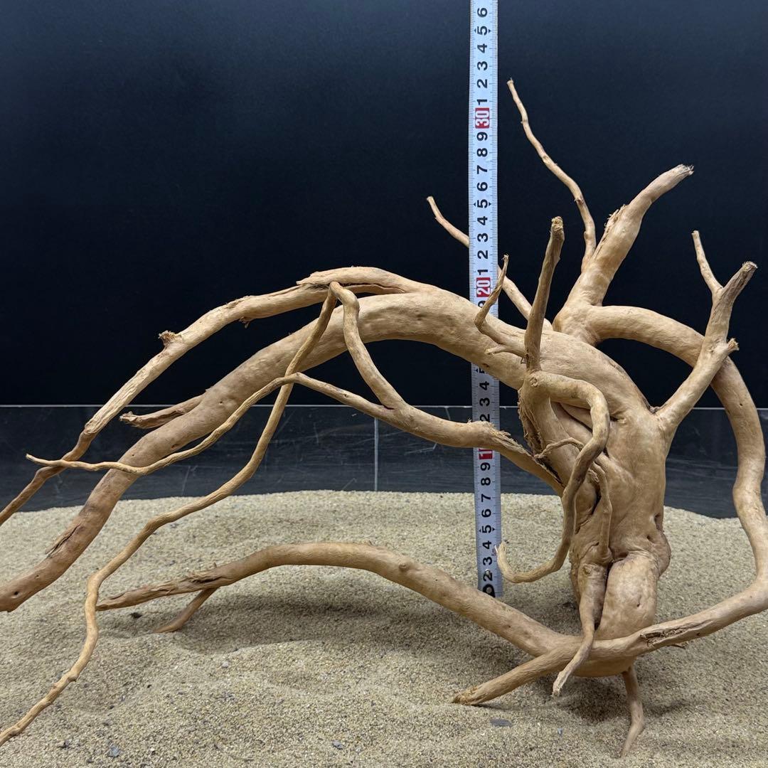 MDW-6989 特大ブランチウッド　流木　枝流木　アクアリウム