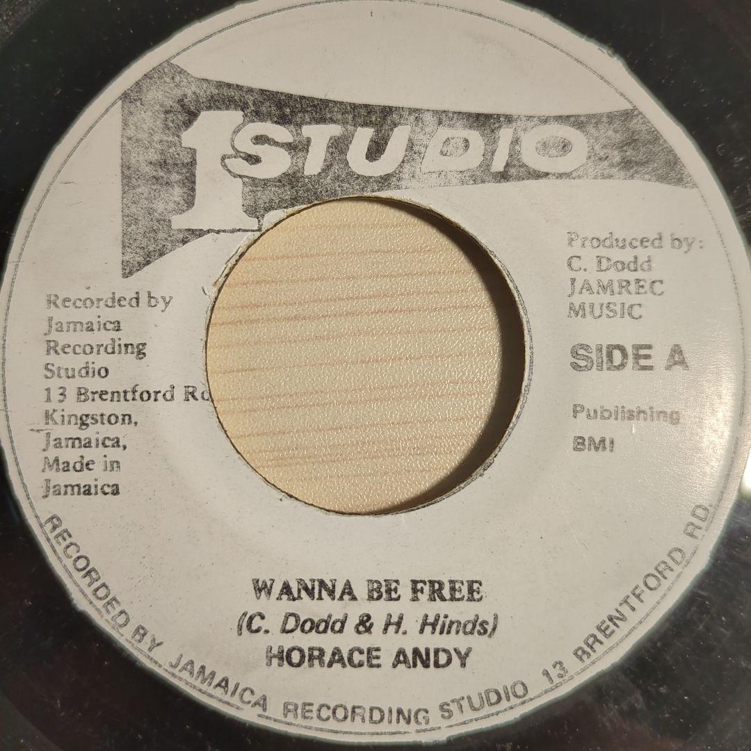 horace andy / wanna be free 7inch lp　美品