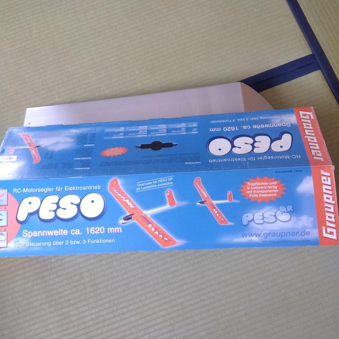 電動ラジコン飛行