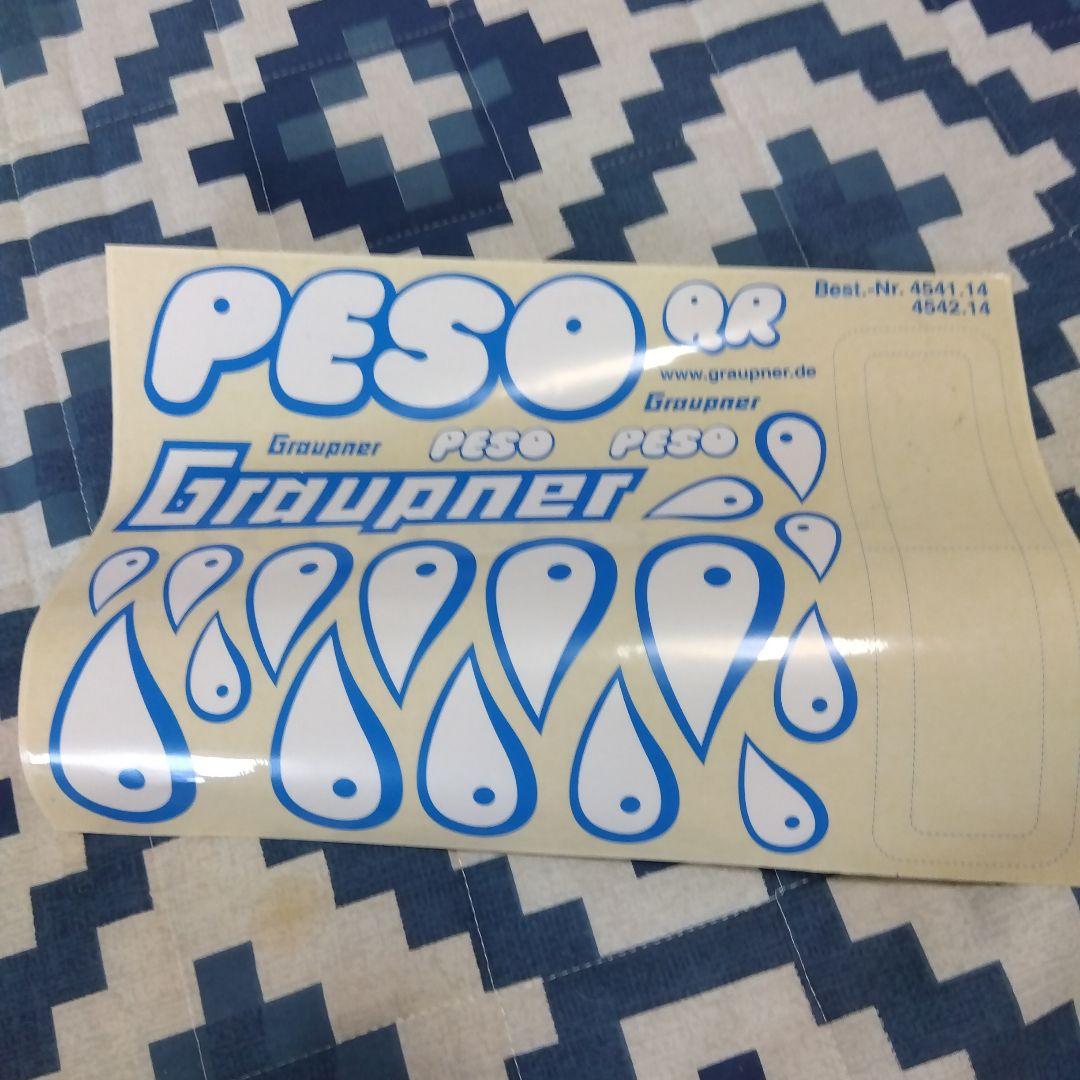 電動ラジコン飛行