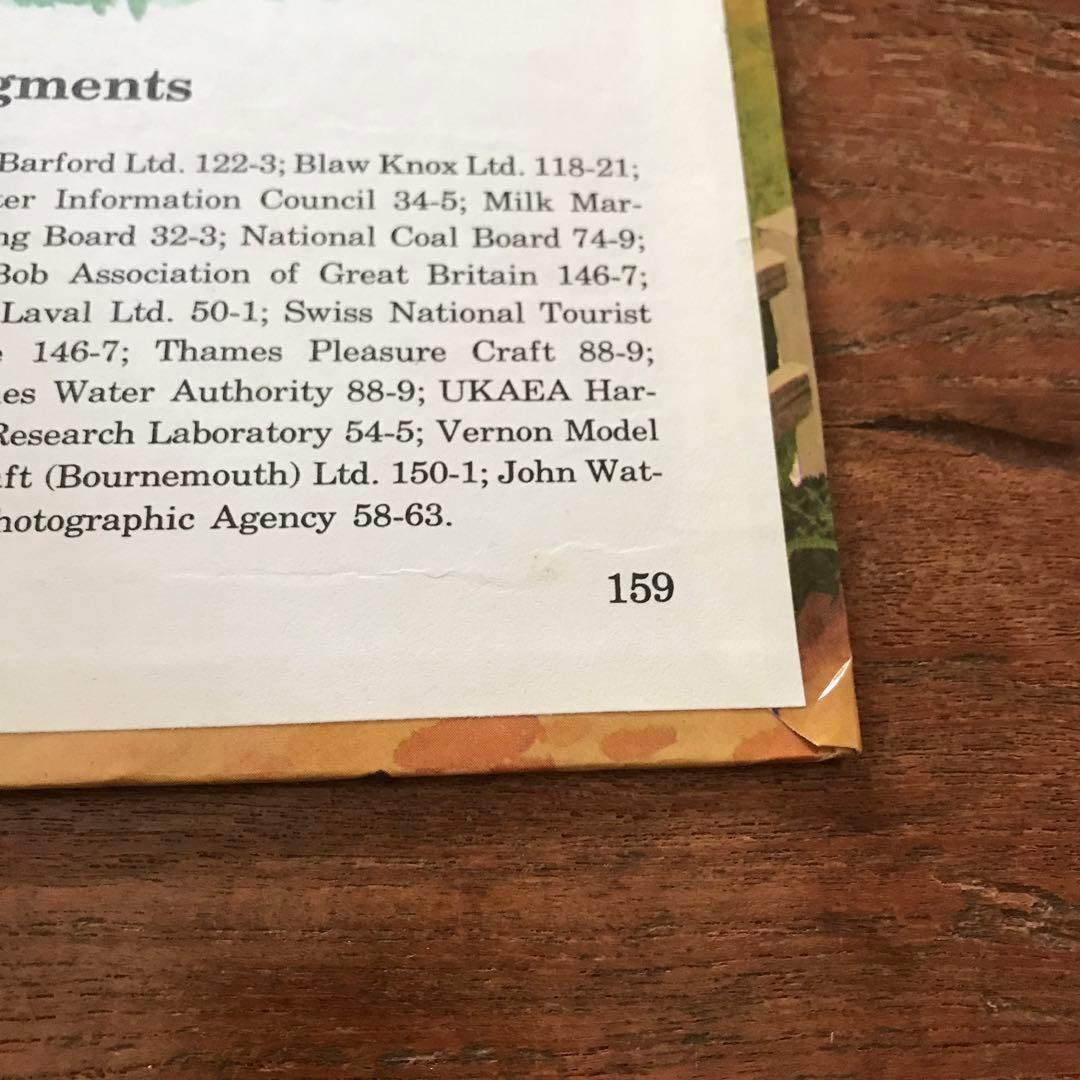 ディズニー How it Works in thecountry